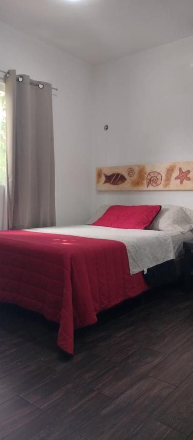 Appartement met 1 Slaapkamer
