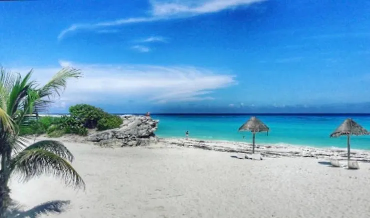 Studio Oceanfront Prime Location-1