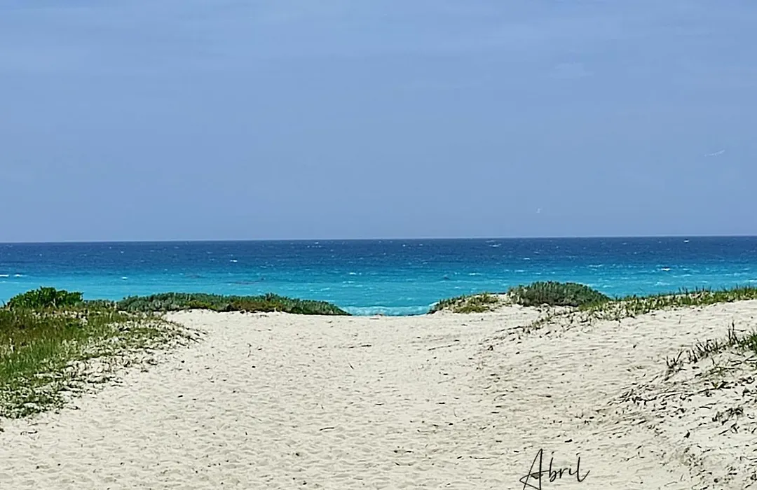 Tu Casa En El Caribe-1