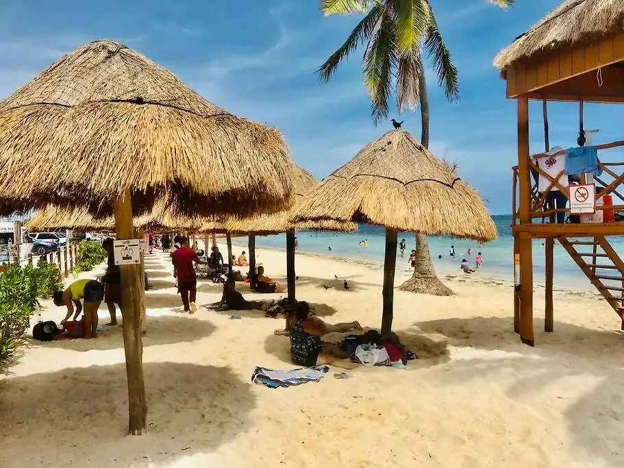 Turtle Suite, 5 Min Walking To The Beach Turtle Piso3-1