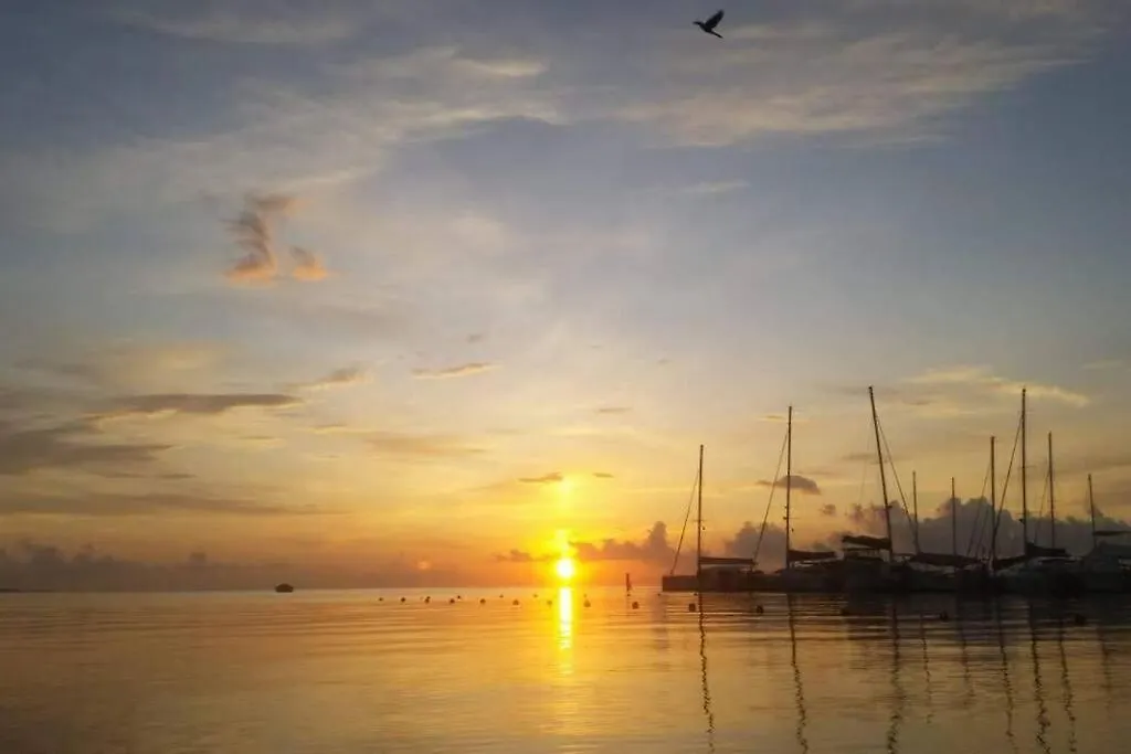 Peaceful & Comfortable Suite 8 Min To The Beach-1