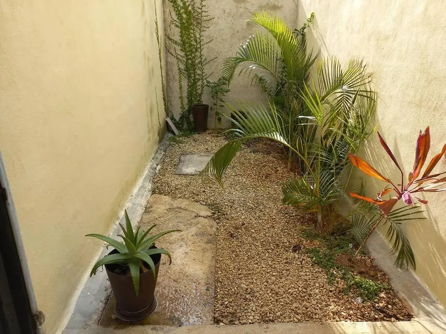 La Casa Azul-1