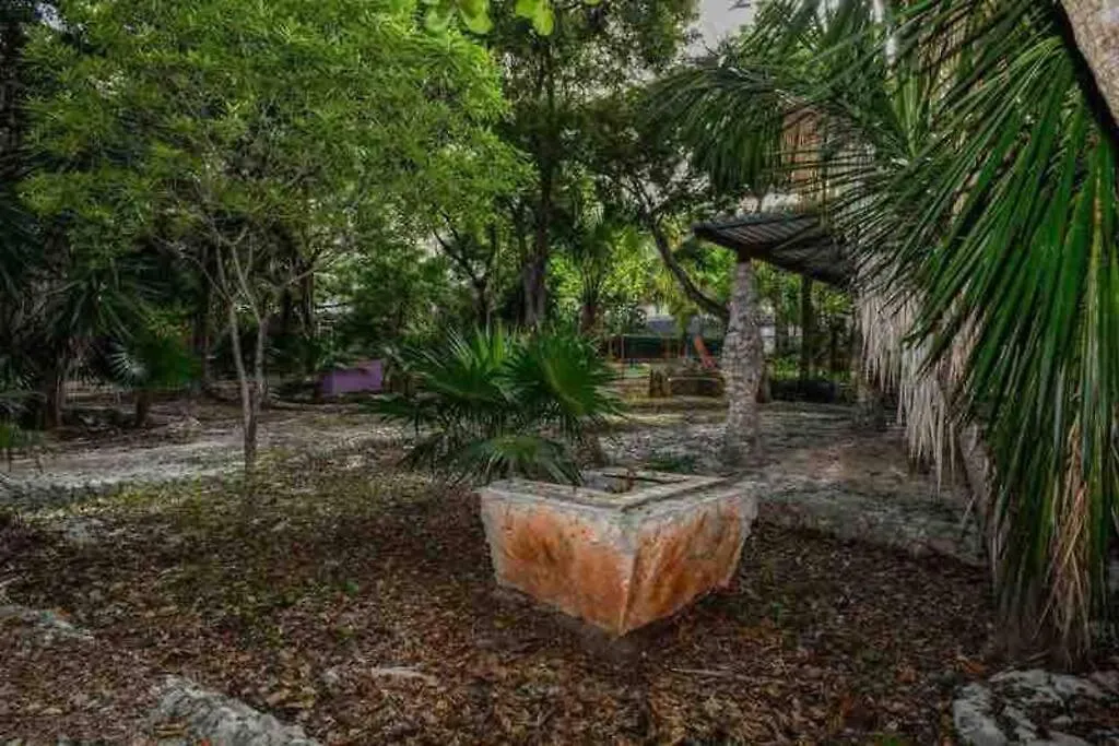 The Tropical Jungle Oasis In Cancun-1