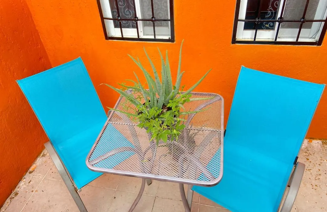 Apartamento Tortuga-1