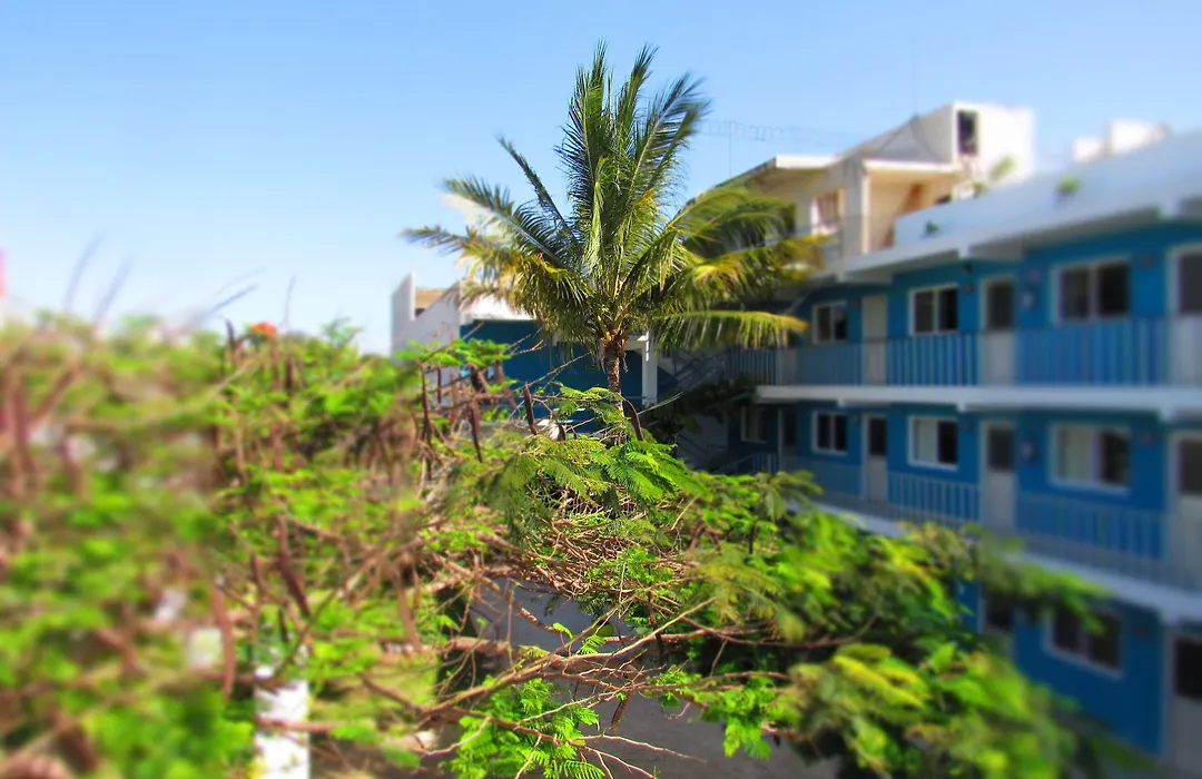 Blue Coconut Cancun Hotel-1