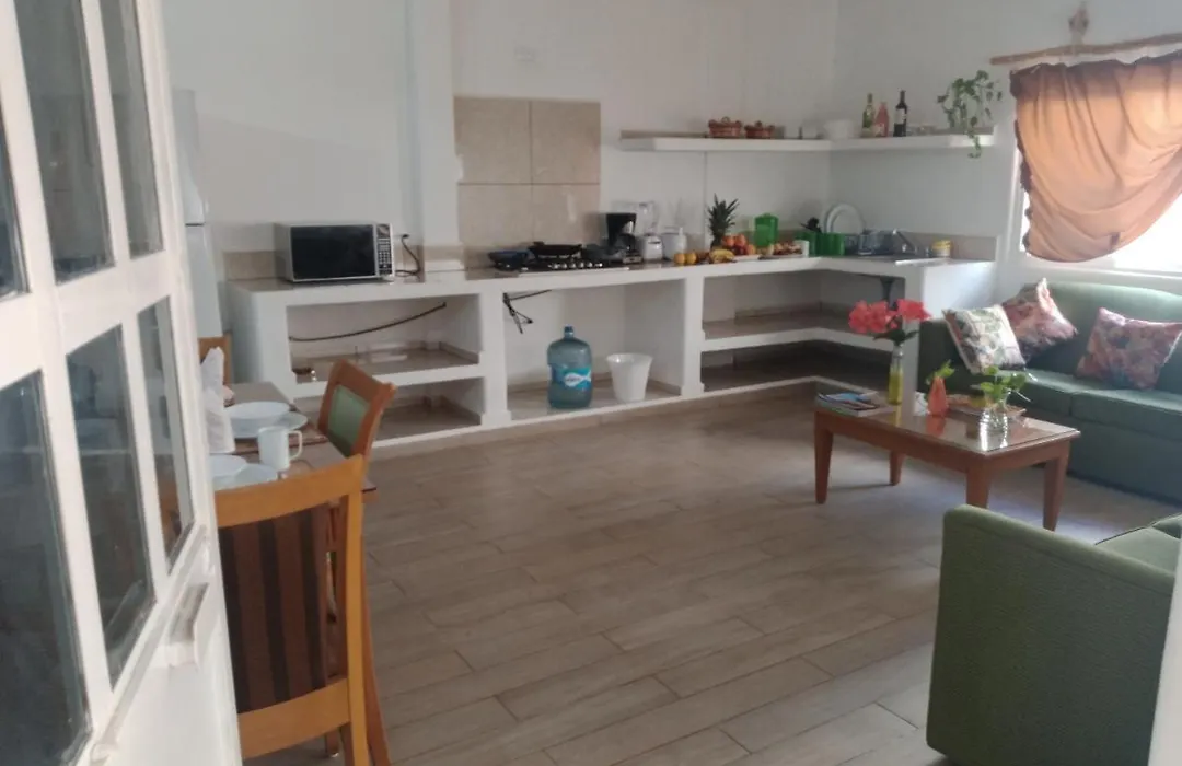 Casa Gekos Iguana-1