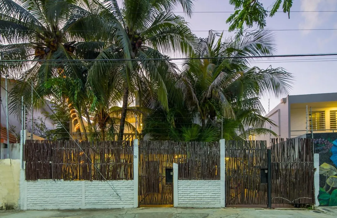 Casa Tropical-1