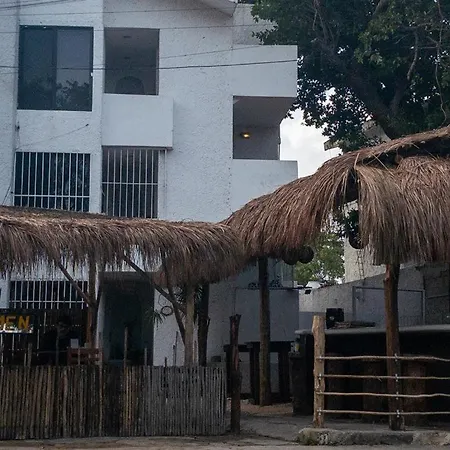 Casa Moreletii-3