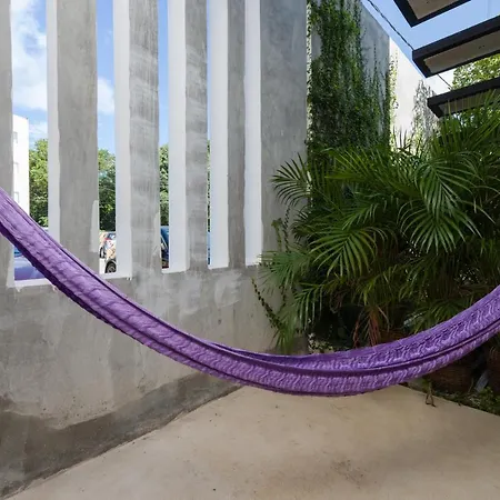 Stay Tropical-2