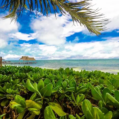 Punta Me Beach Suites-3
