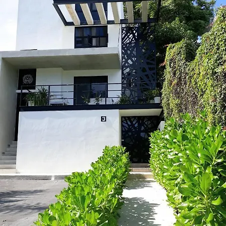 Room In Guest Room - Room 2, Private Bathroom, A C, Wi-Fi 50 Mbps In Downtown Cancun-3