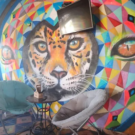 Hostal Bbmexicano-2