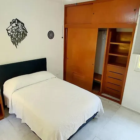 Casa Gaia - Con Alberca Privada / Un Piso-2