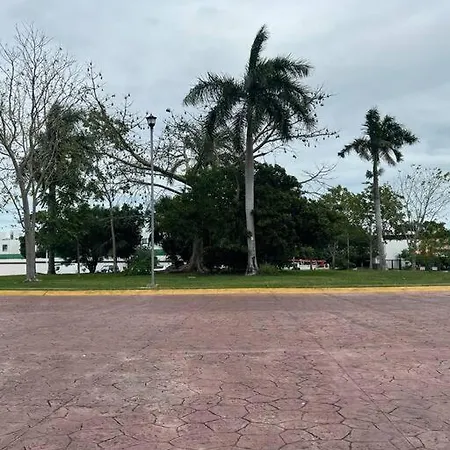 Pent House En Residencial Vitala-2
