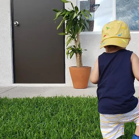 Depa Palmera-3