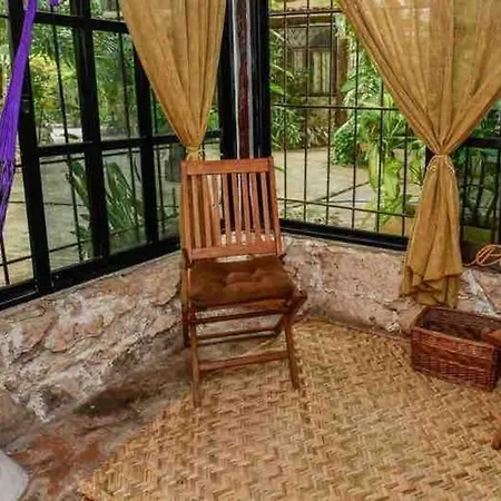 The Tropical Jungle Oasis In Cancun-3