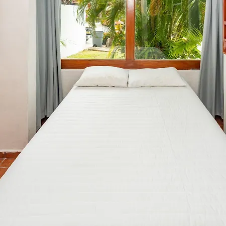 Villa Tropically In Hotel Zone-2