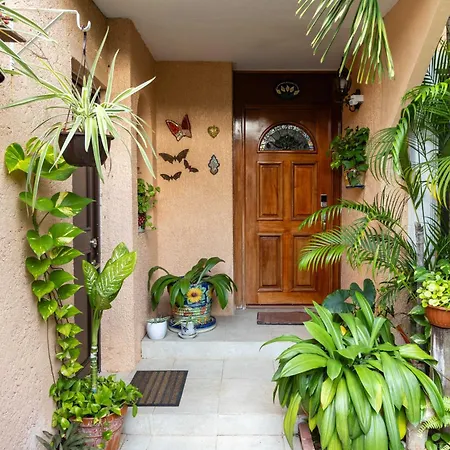 Magnifica Villa Palmeras Luxurious 4 Bedroom 6 Bds 4 Ba Private Pool Lagoon Front Super Fast Wifi-2