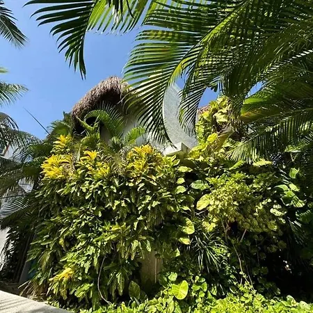 Casa Nona Rosa-2