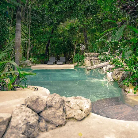 Reserva Ecologica Hacienda Cancun-3
