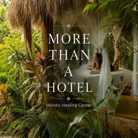 Oma Cancun - Holistic Healing Center-3