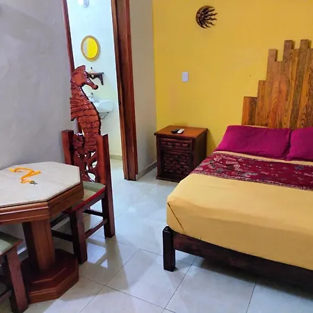 Cancun Guest House 3 Near Ado Bus Terminal And 25 Min From-To Airport By Shuttle-3
