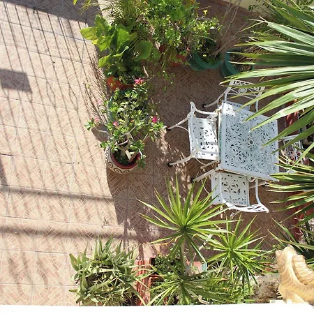 Cancun Guest House 3 Near Ado Bus Terminal And 25 Min From-To Airport By Shuttle-2