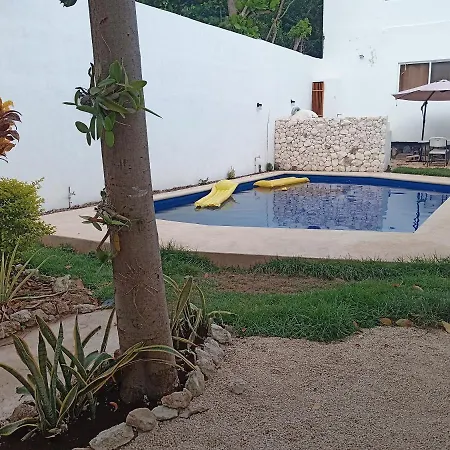 Casa Gekos Iguana-3