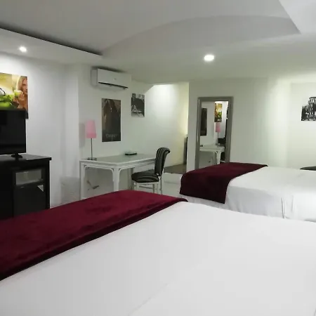 All Inclusive Arts Hotel - Cancun Beaches Zone (Adults Only)-3