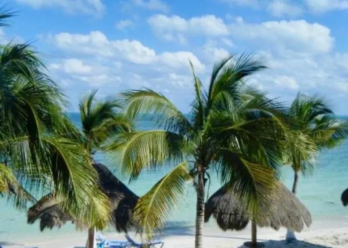 Hacienda Del Mar Resort Condominio 205 Cancún acceptant les animaux