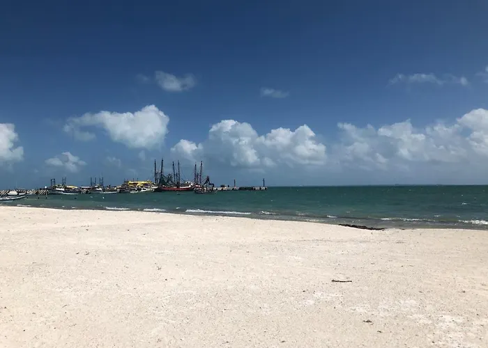 Beach Vacation Full Apartment Cancún che accetta animali