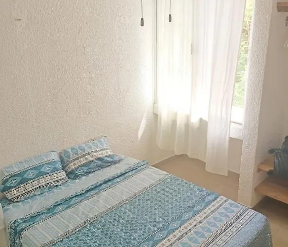 Hermoso Apartamento En El Centro De Cancún acceptant les animaux