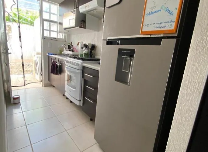 Appartement Plants And Paws à Cancún acceptant les animaux