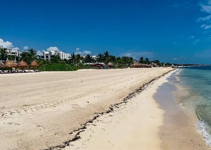 Deluxe Resort Villa In Cancún acceptant les animaux