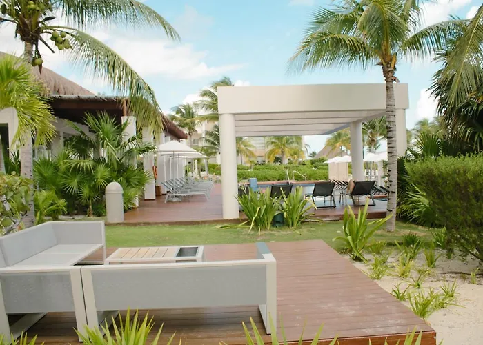 La Amada Cancún acceptant les animaux