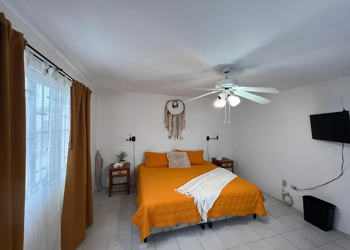 La Casa Del Capi Appartamento Cancún che accetta animali