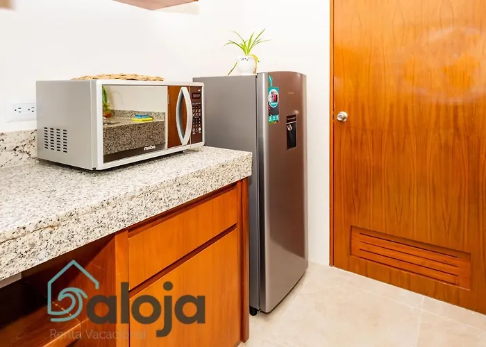 Ideal Estudios Calidos Y Acogedores Cancún