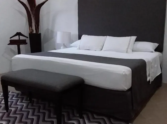 Junior Suite Privada 7 Min Del Aeropuerto Cancún acceptant les animaux