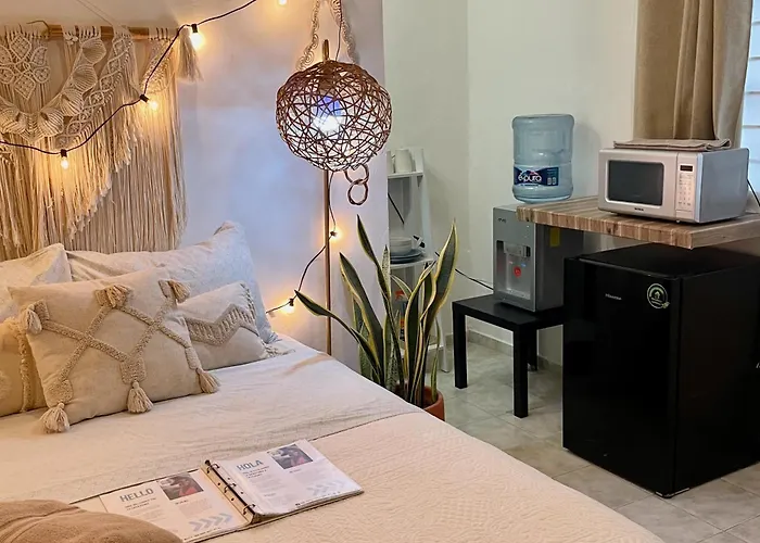 Reno Central Apartments Downtown Cancún que aceita animais de estimação