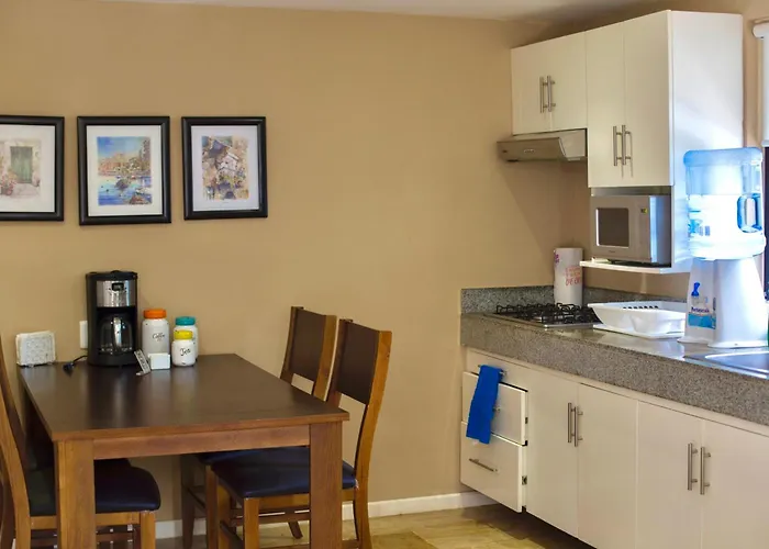 Loft With Pool - A Few Steps From The Beach! Cancún acceptant les animaux